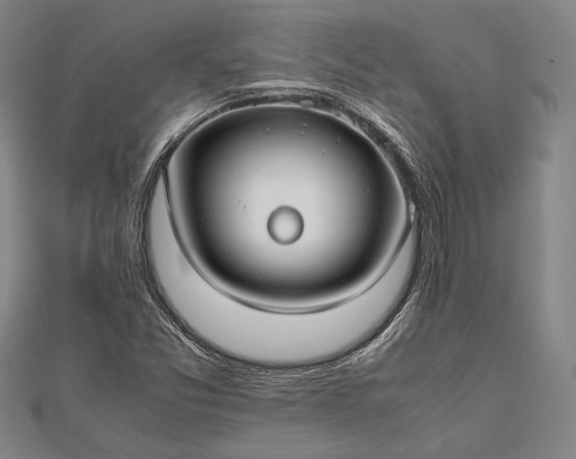 X0000112371357200908271309