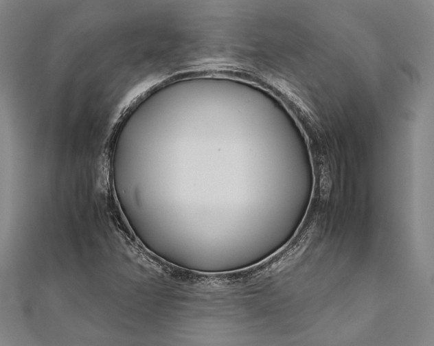 X0000112371358200908271309