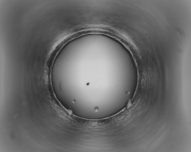 X0000112371360200908271309