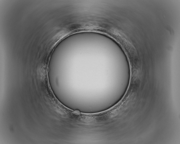 X0000112371361200908271309