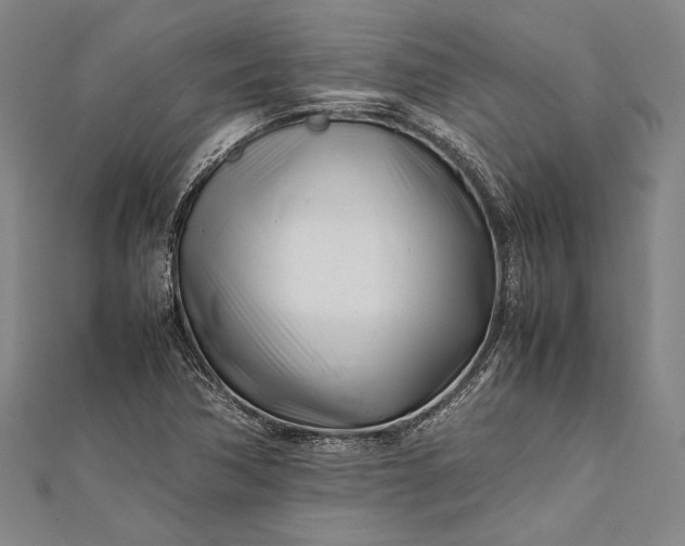 X0000112371362200908271309