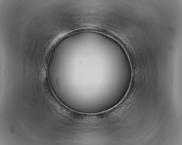 X0000112371363200908271309