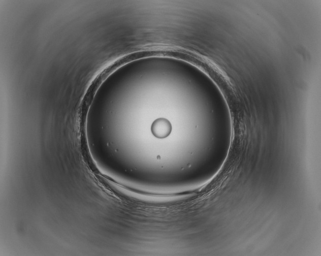 X0000112371364200908271309