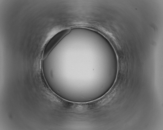 X0000112371365200908271309