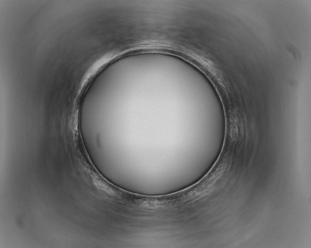 X0000112371366200908271309