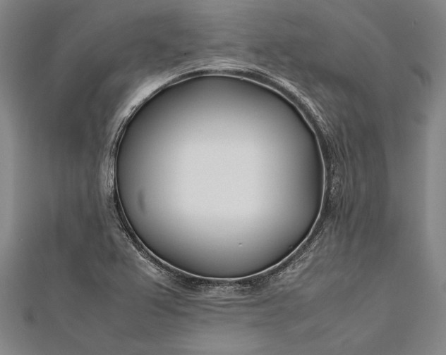 X0000112371367200908271309