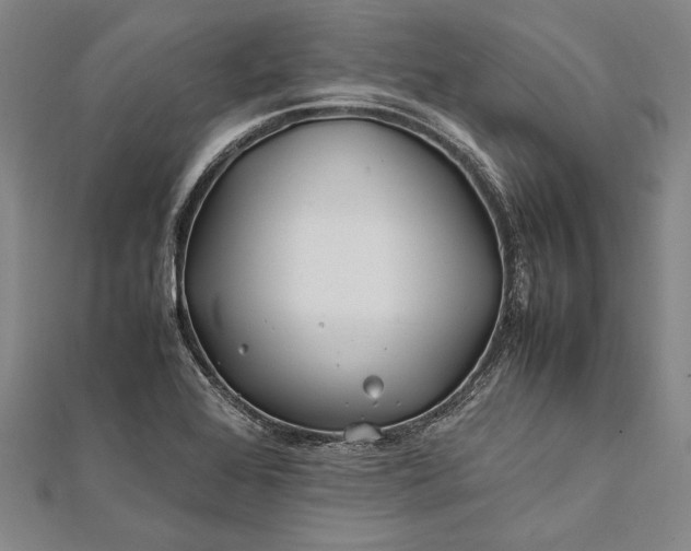 X0000112371368200908271309