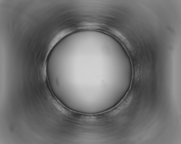 X0000112371370200908271309