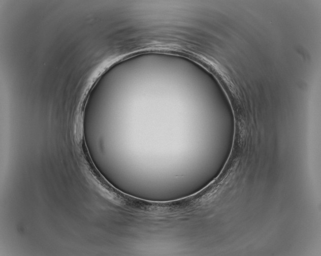 X0000112371371200908271309