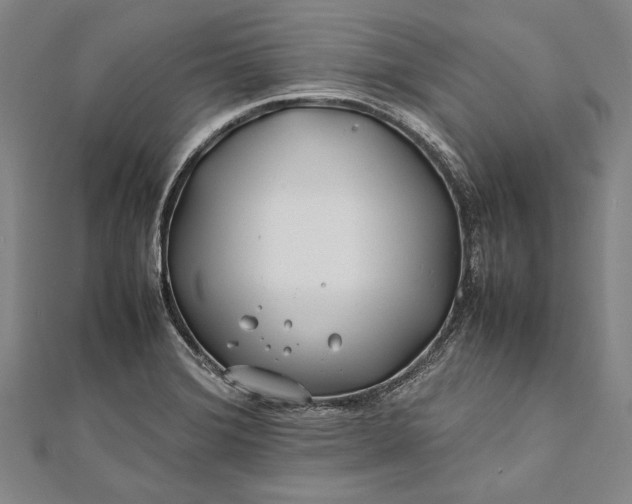 X0000112371372200908271309