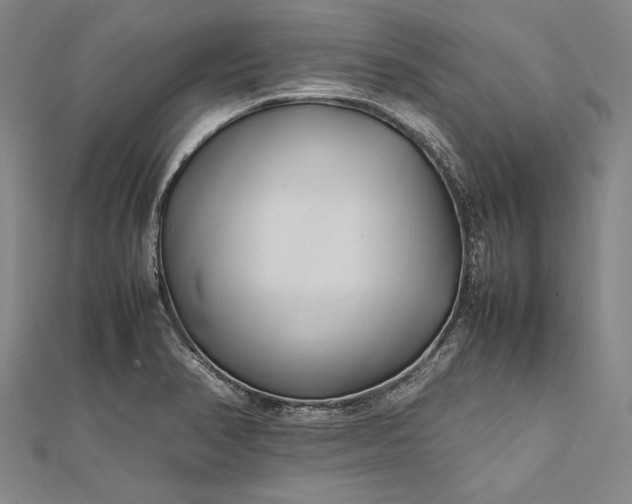 X0000112371374200908271309