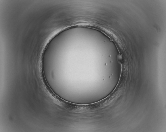 X0000112371375200908271309