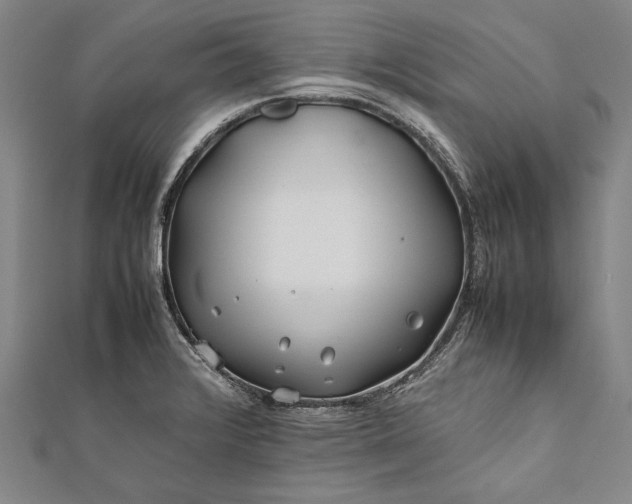 X0000112371376200908271309