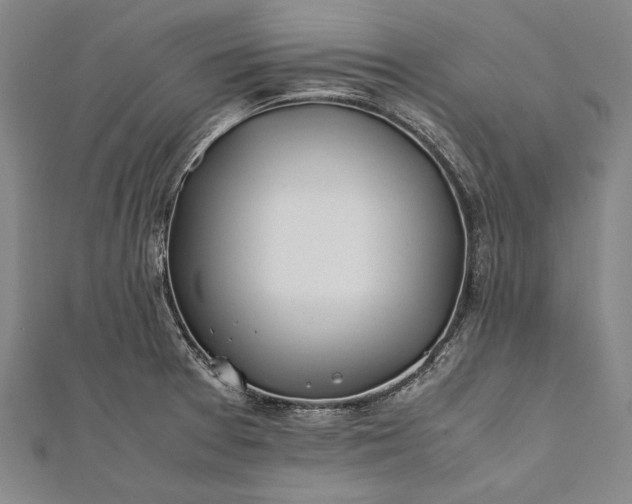 X0000112371377200908271309