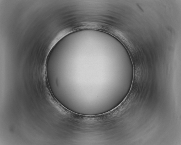 X0000112371378200908271309