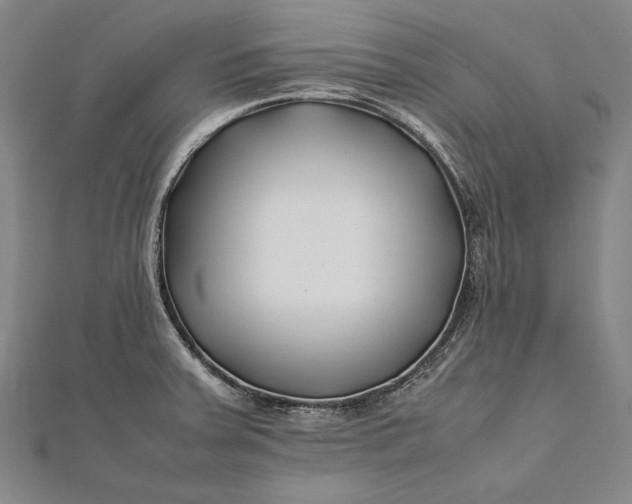 X0000112371379200908271309