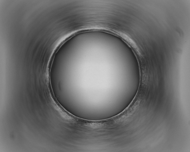 X0000112371380200908271309