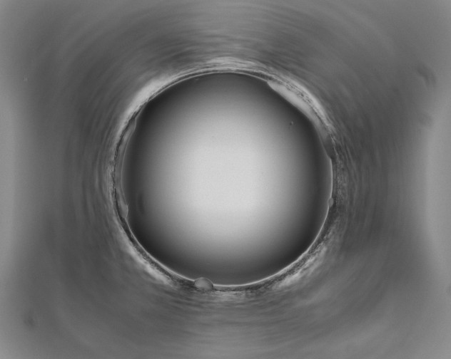 X0000112371381200908271309