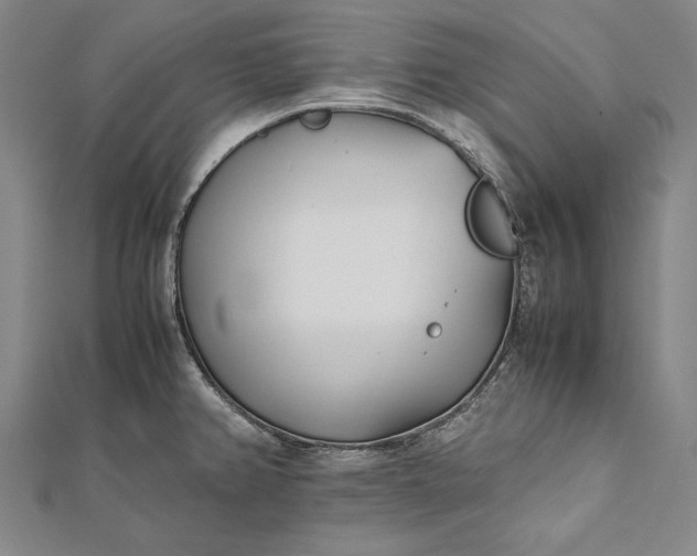 X0000112371382200908271309