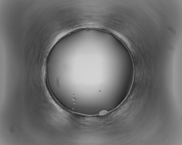 X0000112371383200908271309