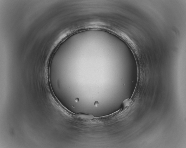 X0000112371384200908271309