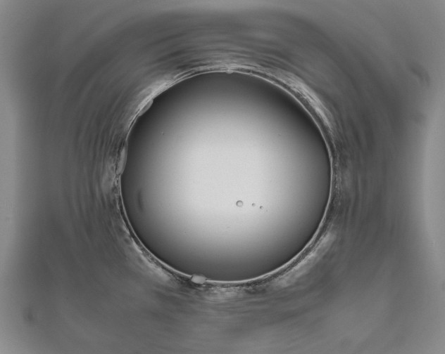 X0000112371385200908271309