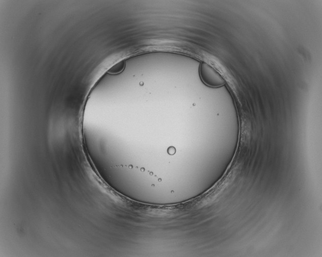 X0000112371386200908271309