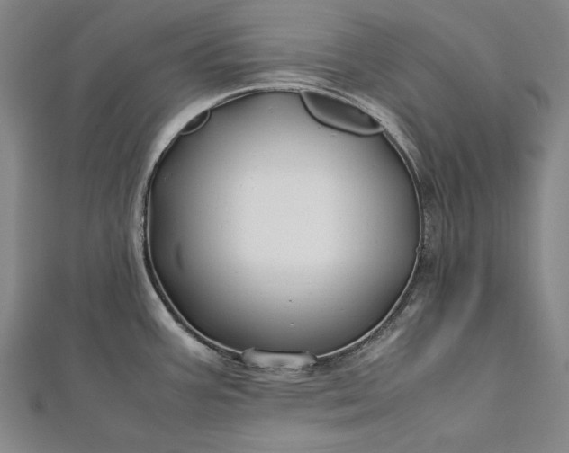 X0000112371387200908271309