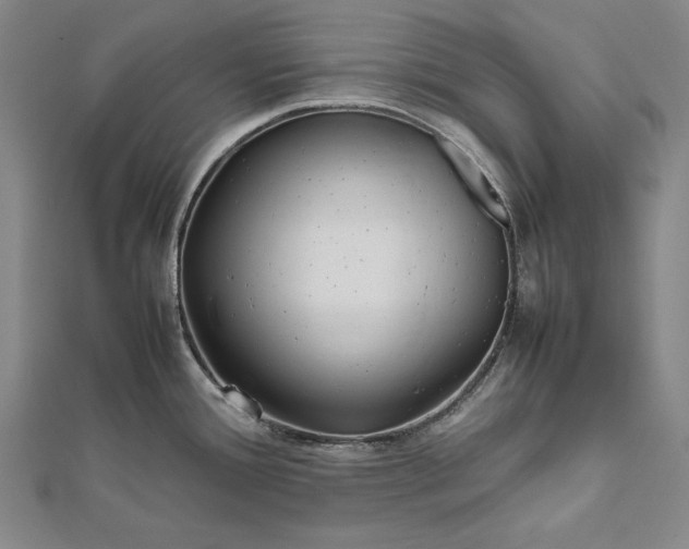 X0000112371388200908271309