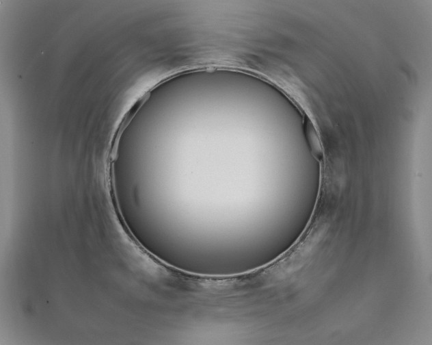 X0000112371389200908271308