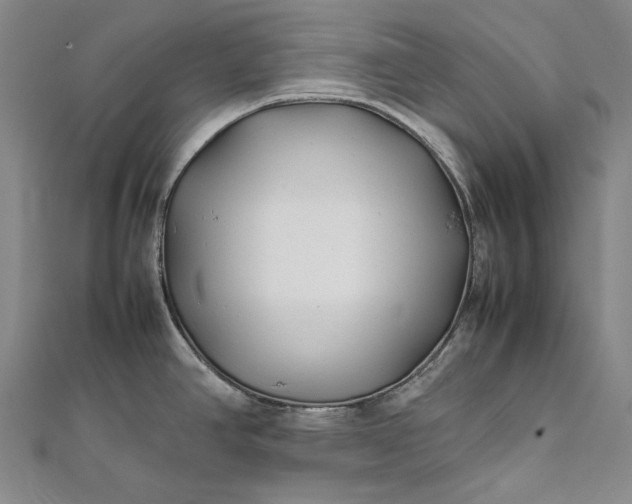 X0000112371390200908271308