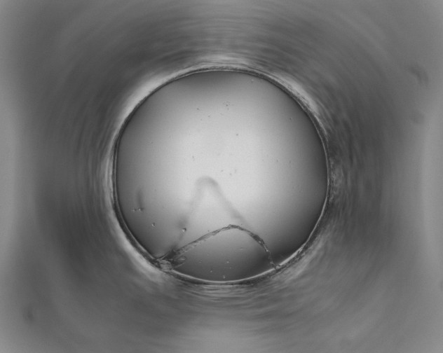 X0000112371391200908271308