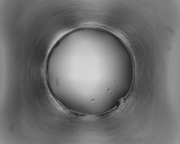 X0000112371392200908271308