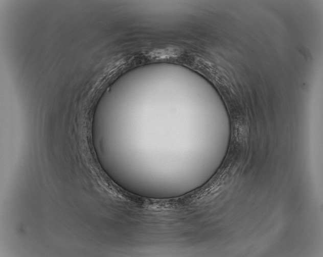 X0000112371393200908271308