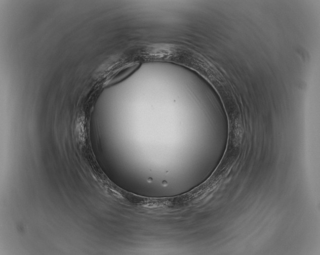 X0000112371394200908271308