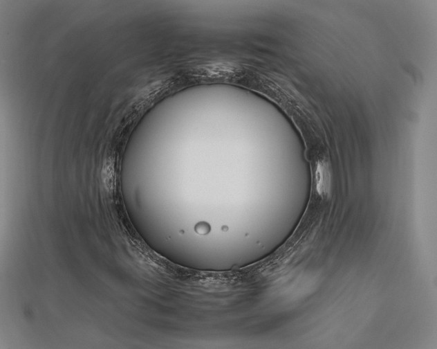 X0000112371395200908271308