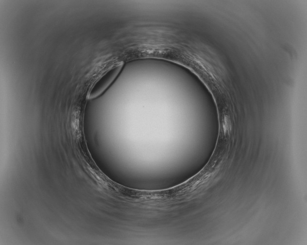 X0000112371396200908271308