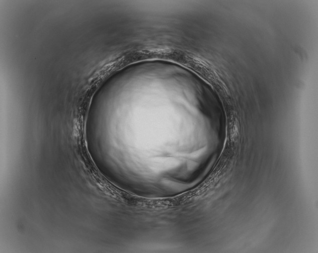 X0000112371397200908271308