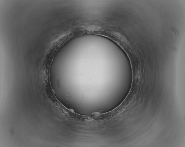 X0000112371398200908271308