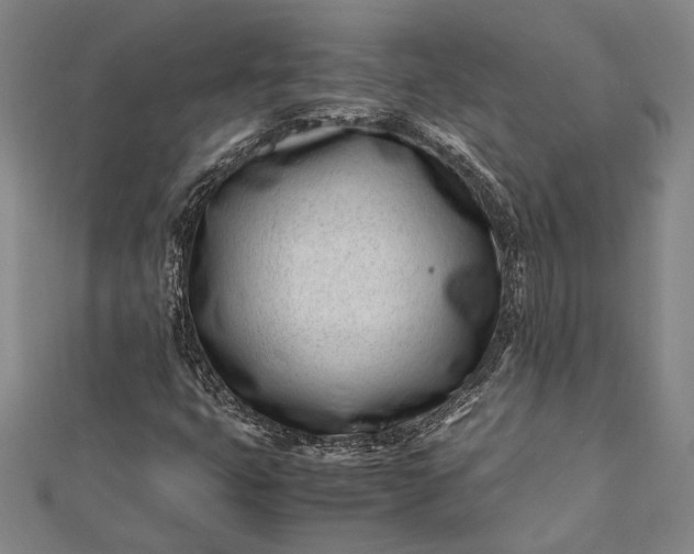 X0000112371399200908271308