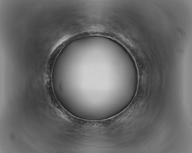 X0000112371400200908271308