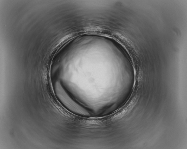 X0000112371401200908271308