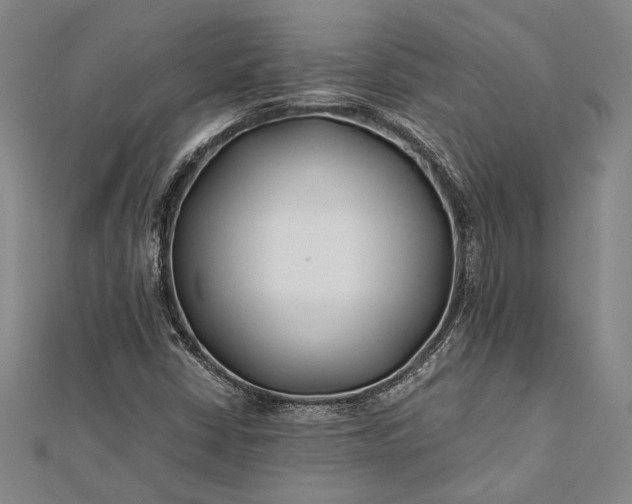 X0000112371402200908271308