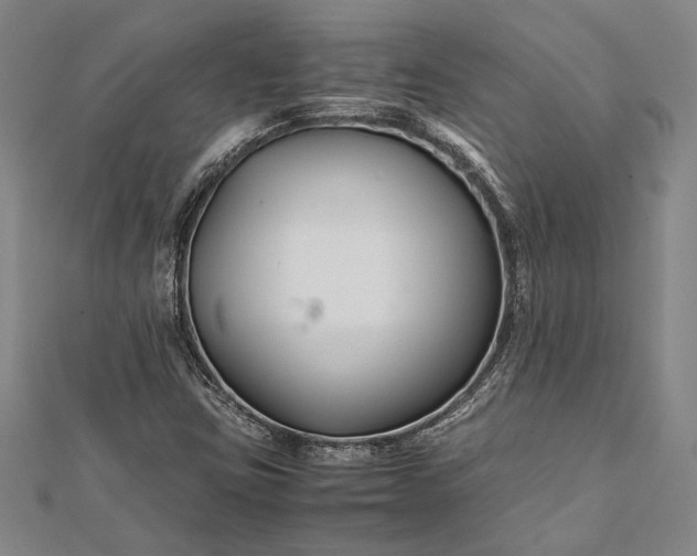 X0000112371403200908271308