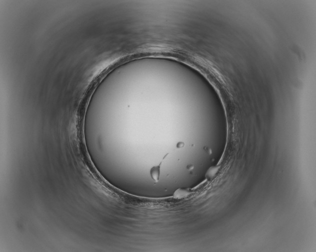 X0000112371404200908271308