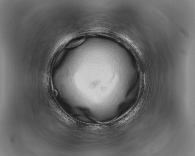 X0000112371405200908271308