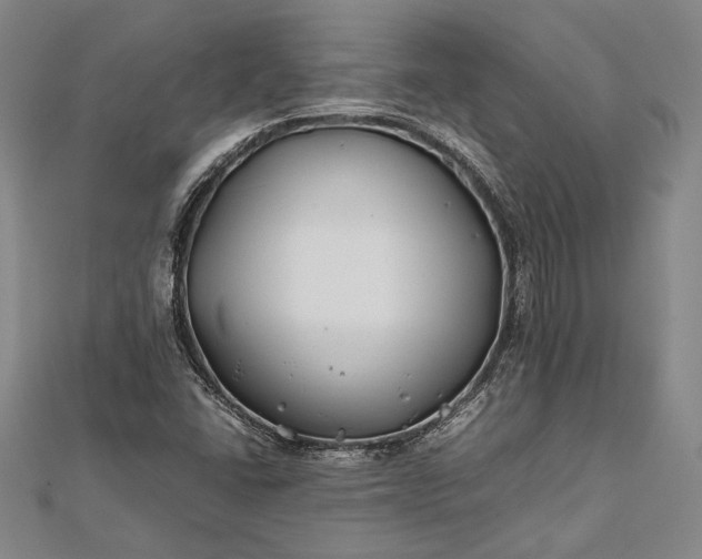 X0000112371406200908271308