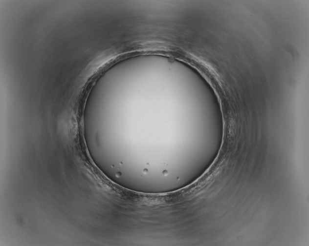 X0000112371407200908271308