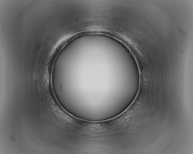 X0000112371408200908271308