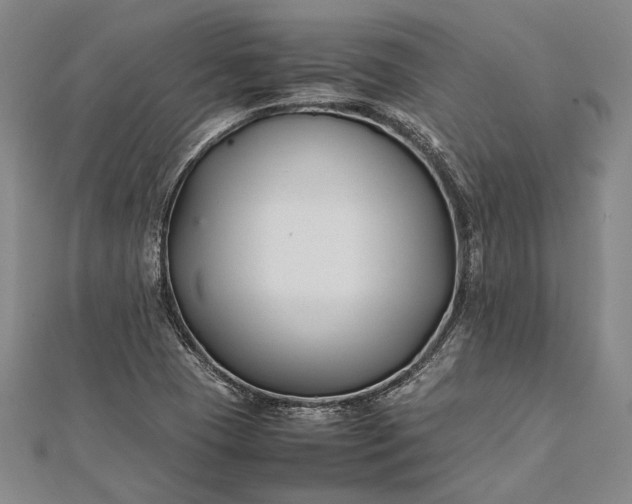 X0000112371409200908271308